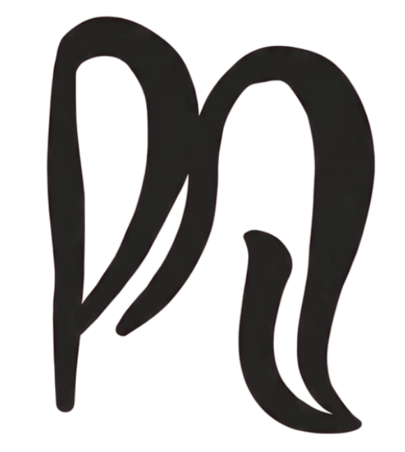 Ponyte